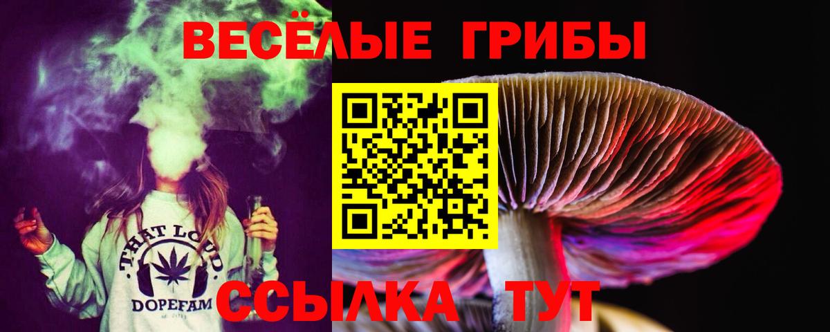 Галлюциногенные грибы MAGIC MUSHROOMS Верхняя Салда